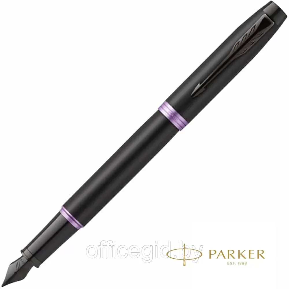 Ручка перьевая Parker "IM Vibrant Rings F315", M, черный, фиолетовый, патрон синий - фото 1 - id-p203424420
