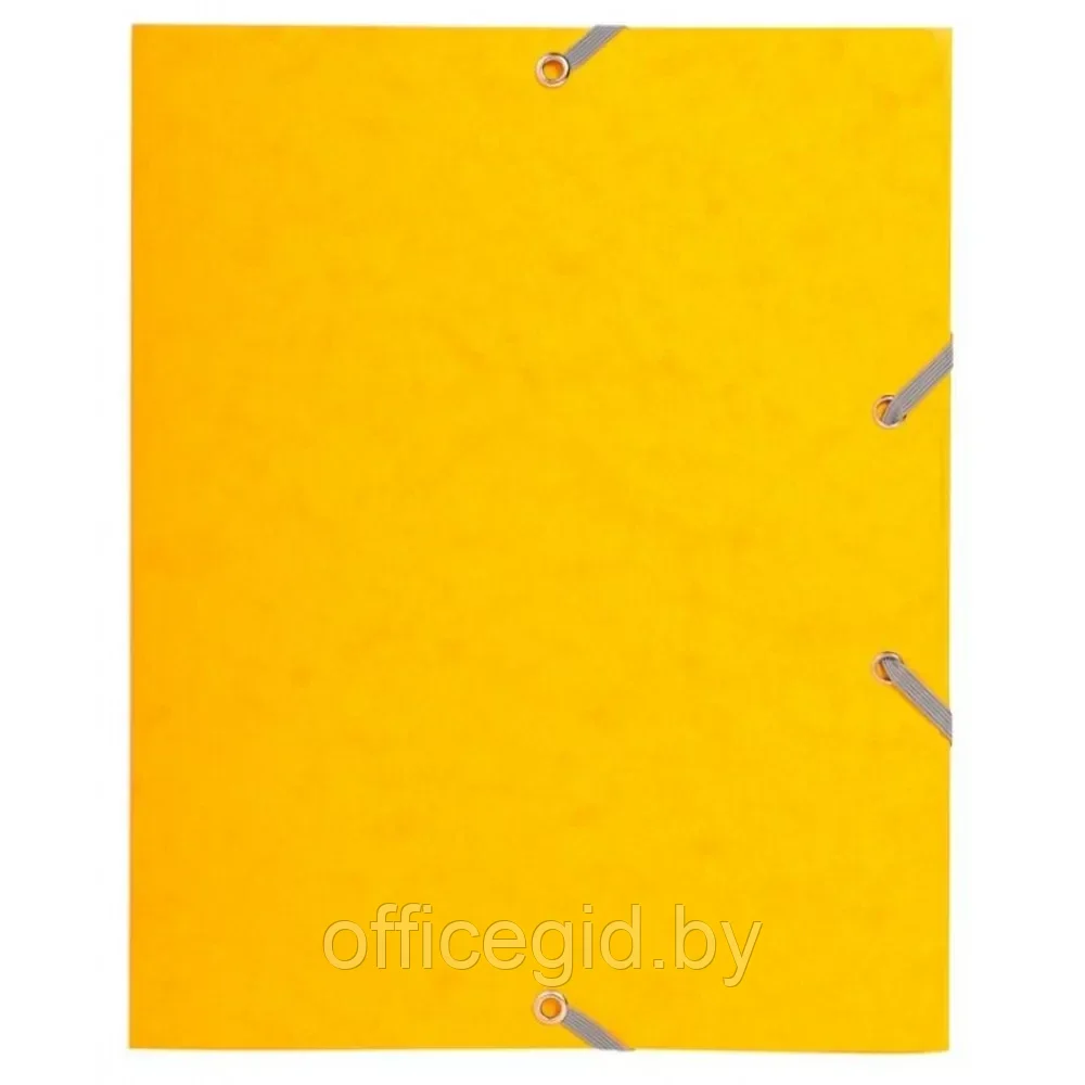 Папка на резинках "Exacompta-A5", A5, 15 мм, картон, ассорти - фото 1 - id-p203423955