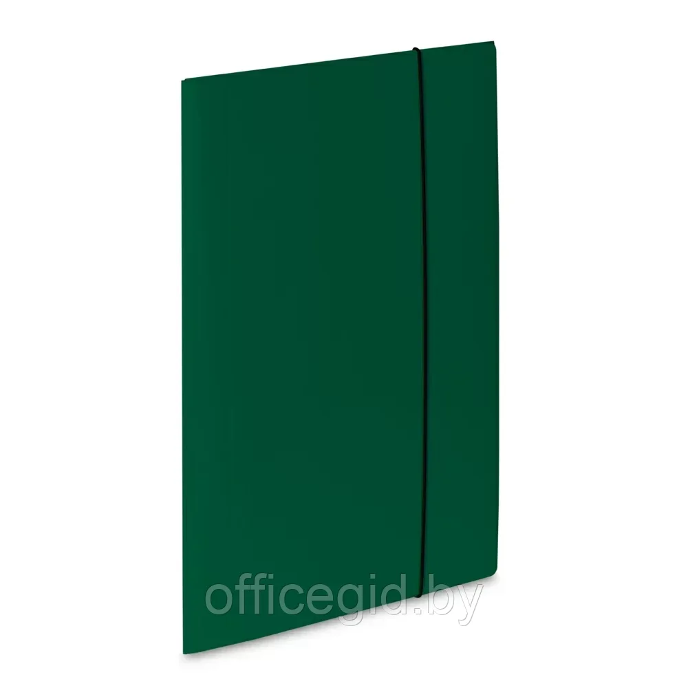 Папка на резинке "VauPe", A4, 20 мм, картон, зеленый - фото 1 - id-p203423973