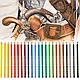 Карандаши цветные "Polychromos", 12 шт., в металлической упаковке, фото 2