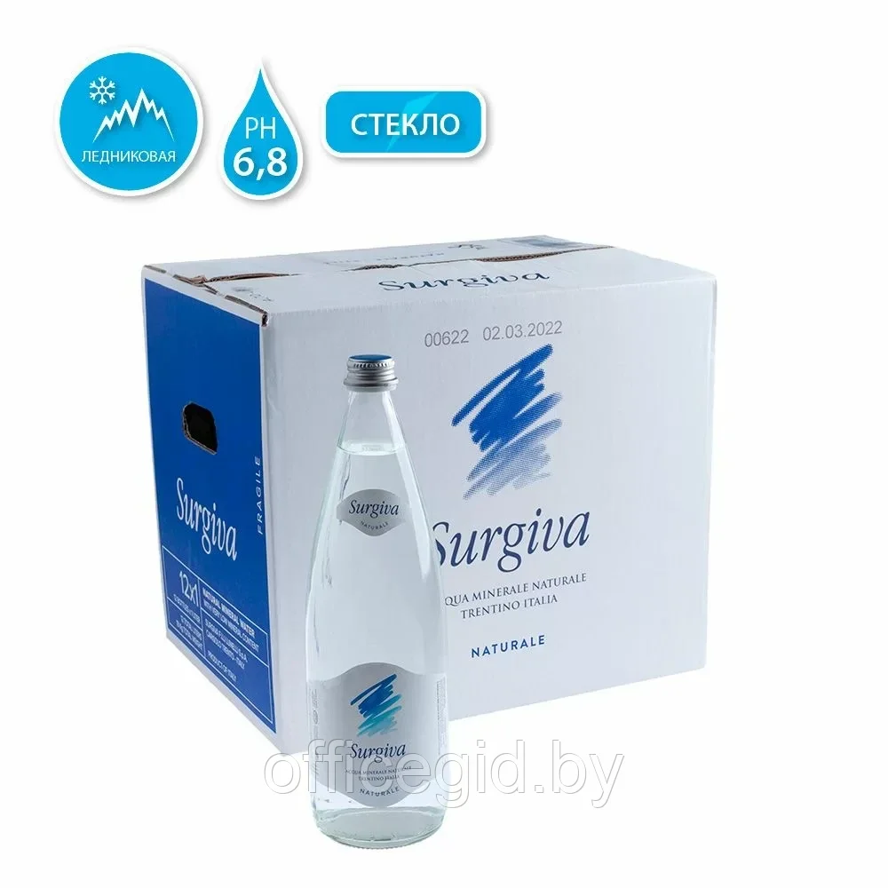 Вода минеральная природная питьевая «Surgiva», 1 л, негазированная, 12 бут/упак - фото 1 - id-p203425921
