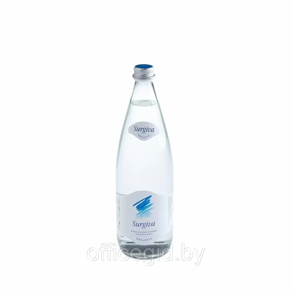 Вода минеральная природная питьевая «Surgiva», 1 л, негазированная, 12 бут/упак - фото 2 - id-p203425921