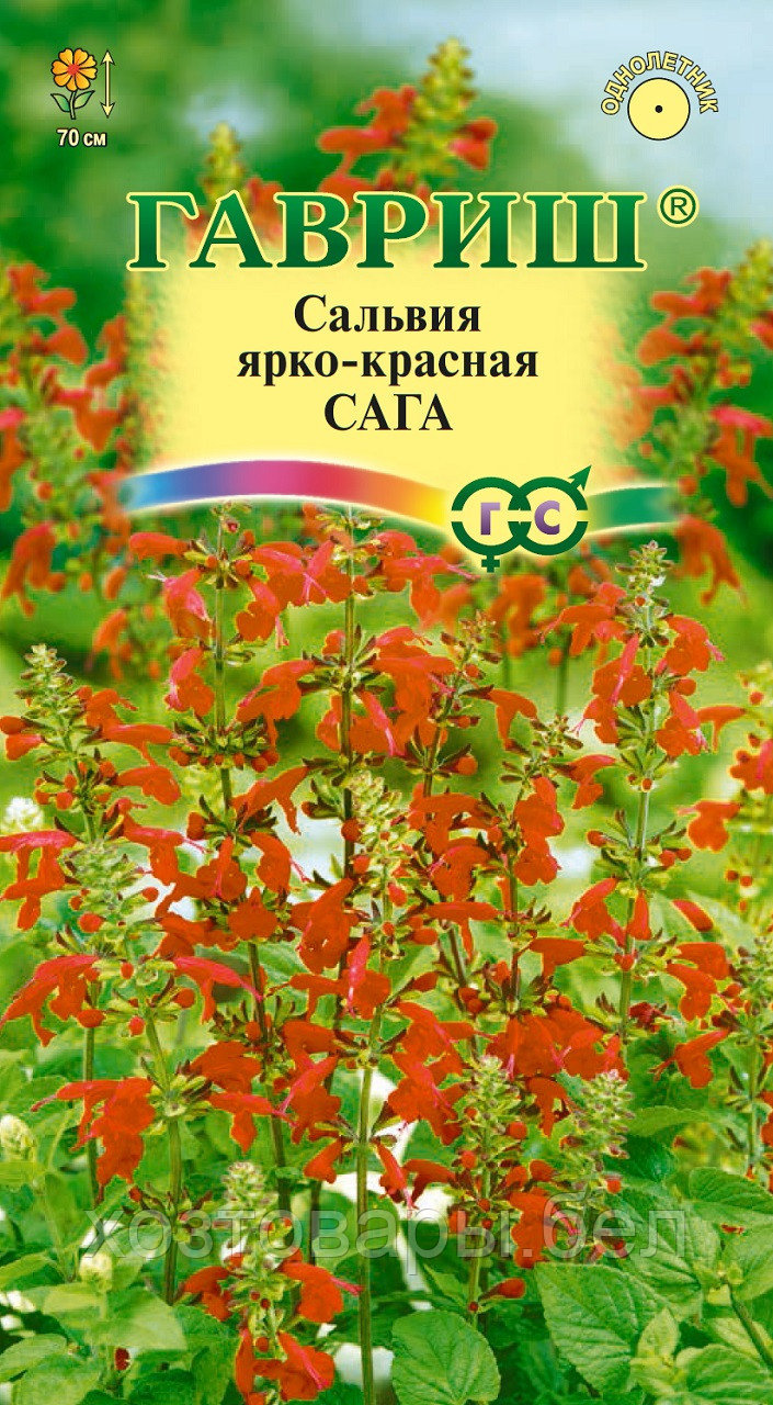 Сальвия Сага ярко-красная 0,05г Одн 70см (Гавриш)