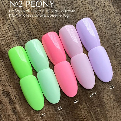 Набор Nail Box KIEMI № 2 "PEONY"