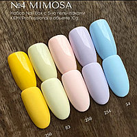 Набор Nail Box KIEMI № 4 "MIMOSA"