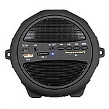 Портативная акустическая система Dialog Progressive AP-920 - 10W RMS, Bluetooth, FM+USB+SD reader, фото 3