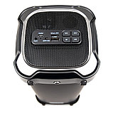 Портативная акустическая система Dialog Progressive AP-1020 - 18W RMS, Bluetooth, FM+USB reader, фото 6