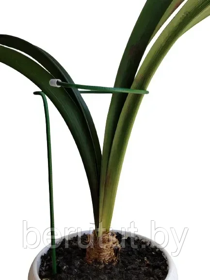 Опора для клубники низкая,комнатных растений универсальная 35 х 15 см - фото 3 - id-p203537555