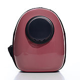 Рюкзак для переноски животных с окном для обзора, 32 х 25 х 42 см, розовый, фото 2