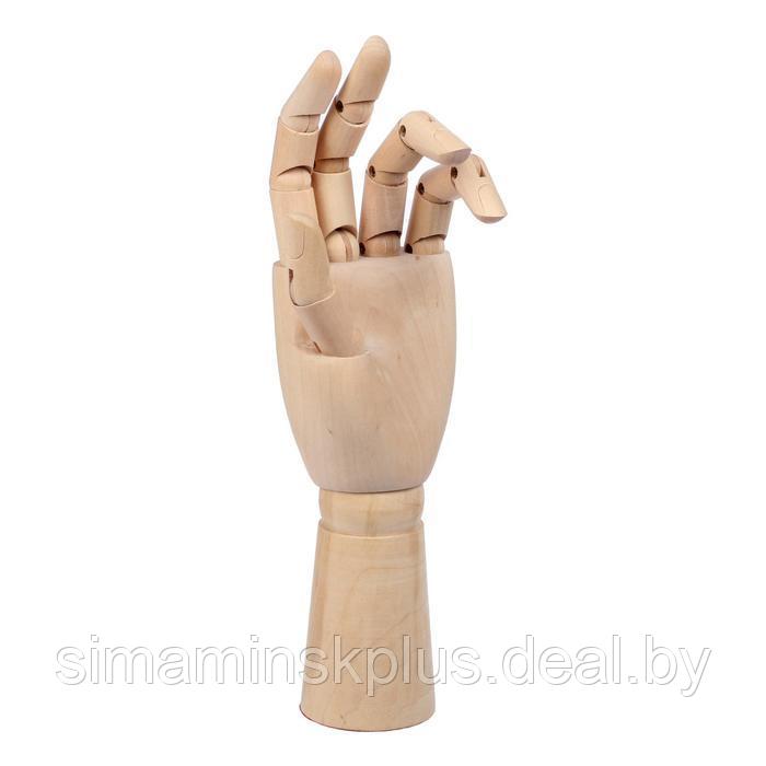 Модель деревянная рука, мужская, левая, 31 см - фото 2 - id-p203565574