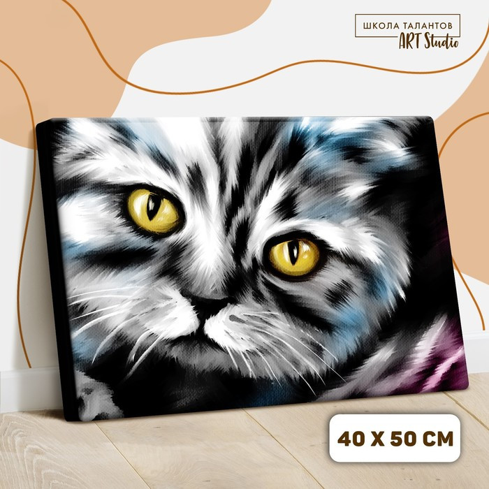 Картина по номерам на холсте с подрамником «Котик» 40х50 см - фото 2 - id-p203574528