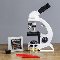 Микроскоп, кратность увеличения 450х, 200х, 80х, с подсветкой, белый