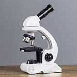 Микроскоп, кратность увеличения 450х, 200х, 80х, с подсветкой, белый, фото 3