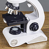 Микроскоп, кратность увеличения 450х, 200х, 80х, с подсветкой, белый, фото 4