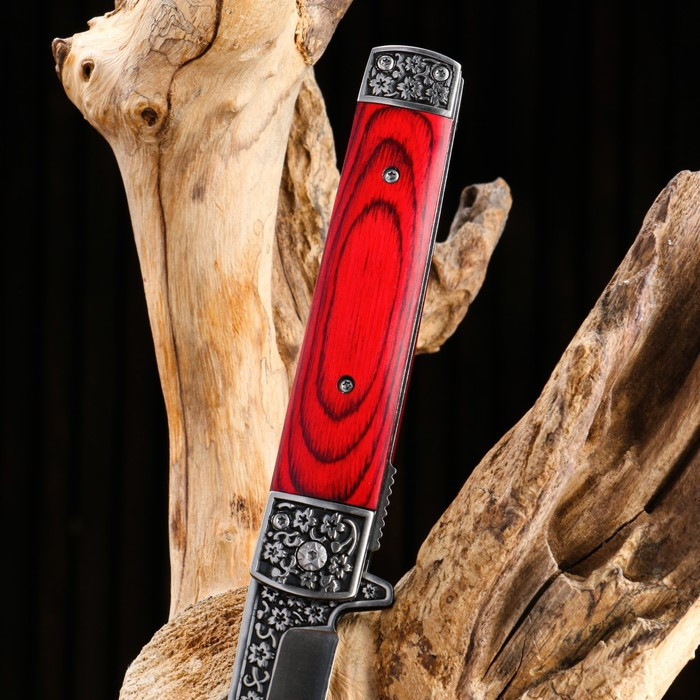 Нож складной "Танто", ручка дерево 22,8см, клинок 9,5см - фото 5 - id-p203580284
