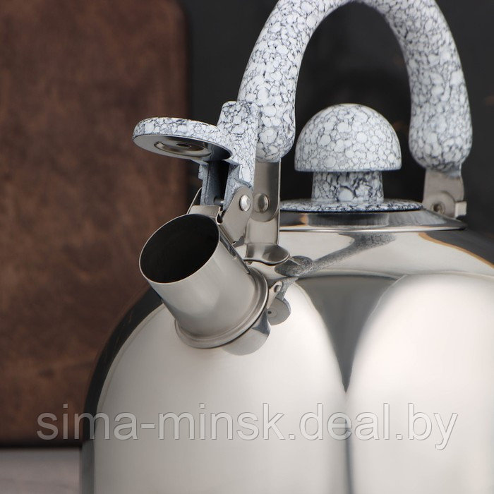 Чайник со свистком из нержавеющей стали Доляна «Мрамор», 3 л, фиксированная ручка, цвет хромированный - фото 4 - id-p203567268