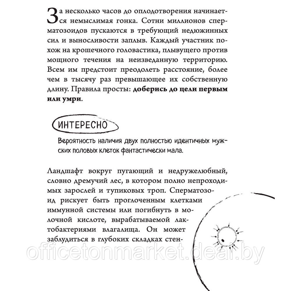 Книга "280 дней до вашего рождения. Репортаж о том, что вы забыли, находясь в эпицентре событий", Вестре К. - фото 8 - id-p203584269