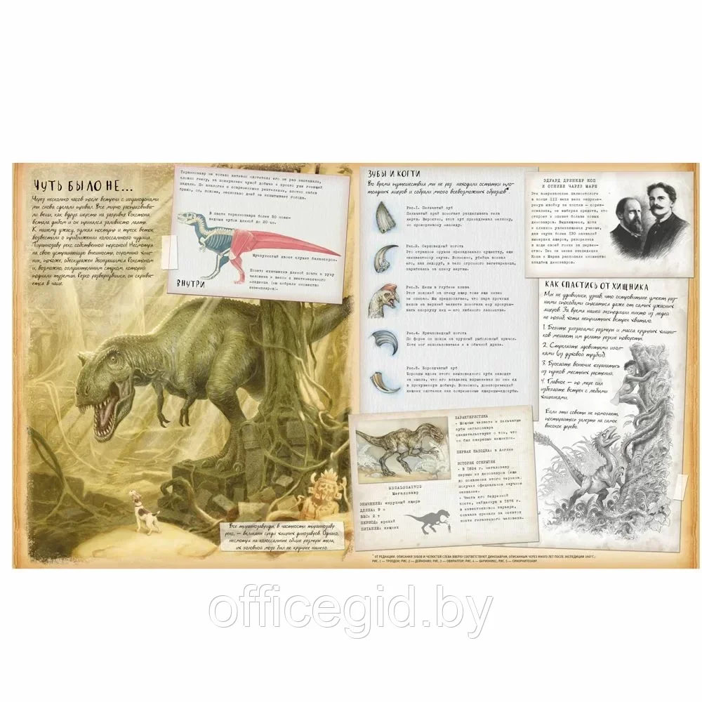 Книга "Динозавроведение. Поиски затерянного мира", Раймс Р., -30% - фото 2 - id-p203608705