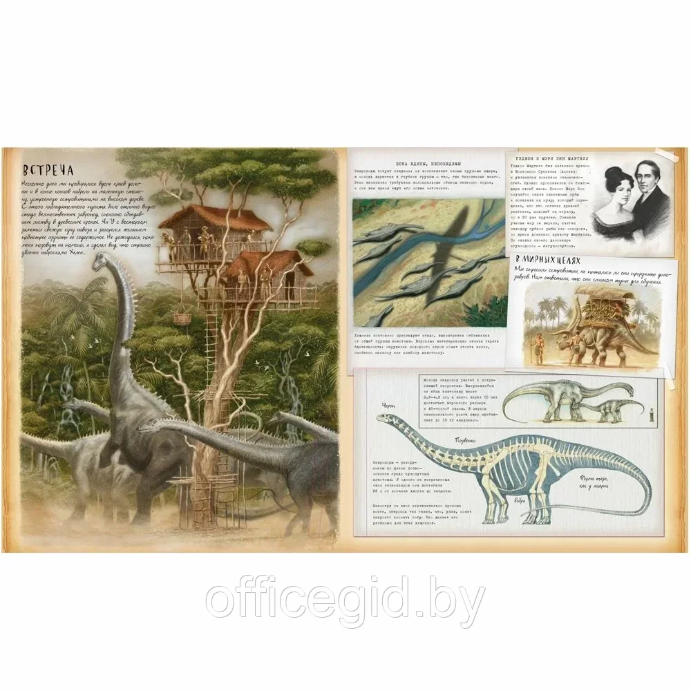 Книга "Динозавроведение. Поиски затерянного мира", Раймс Р., -30% - фото 4 - id-p203608705