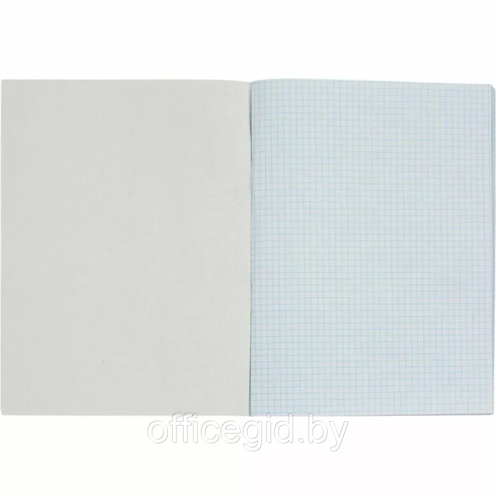 Тетрадь "Синяя", А4, 80 листов, клетка, синий - фото 2 - id-p203608781