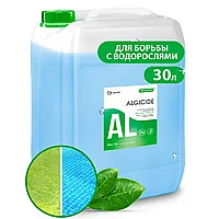 Средство для борьбы с водорослями "CRYSPOOL algicide", 30 кг, канистра