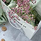 Фирменный бумажный пакет с ручками, 21*22*12 см, фото 4