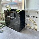 Фирменный бумажный пакет с ручками, 21*22*12 см, фото 2