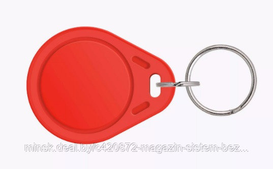 ПЛАСТИКОВЫЕ ABS RFID-БРЕЛОКИ С ЧИПОМ И ВАШИМ ЛОГОТИПОМ - фото 2 - id-p203712633