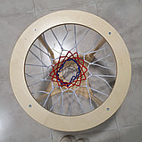 Корзина с сеткой для метания мячей, фото 3