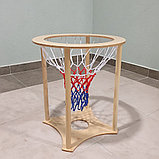 Корзина с сеткой для метания мячей, фото 2