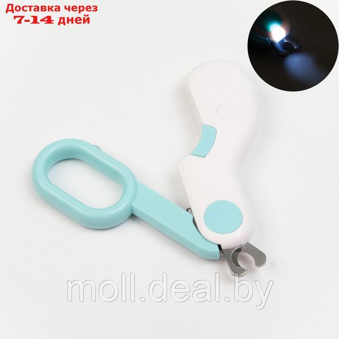Когтерез - ножницы для животных с LED фонарём, голубой - фото 1 - id-p203696717