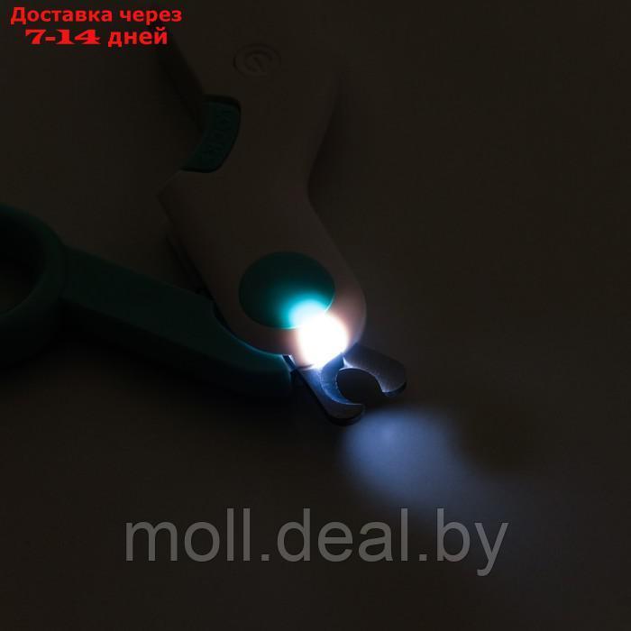 Когтерез - ножницы для животных с LED фонарём, голубой - фото 2 - id-p203696717