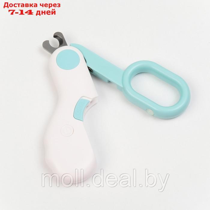 Когтерез - ножницы для животных с LED фонарём, голубой - фото 4 - id-p203696717