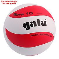 Мяч волейбольный Gala Bora 10, BV5671S, размер 5, PU, клееный