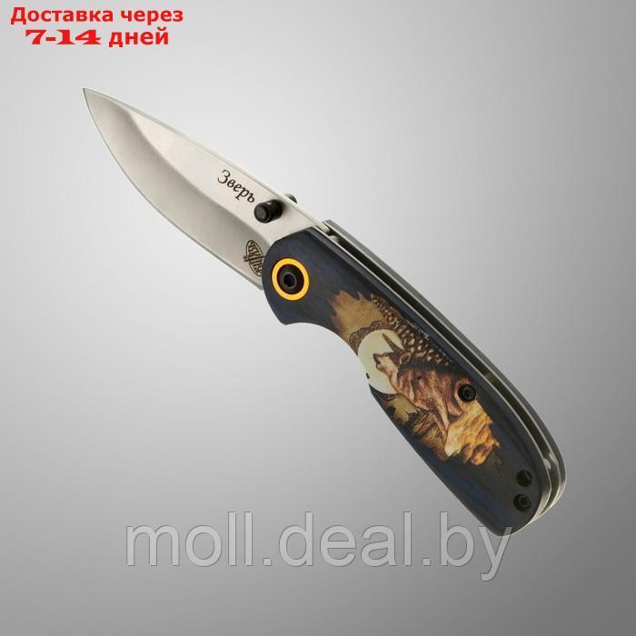 Нож складной "Зверь" сталь - 50Х14МФ, рукоять - паккавуд, 15 см - фото 1 - id-p203697905