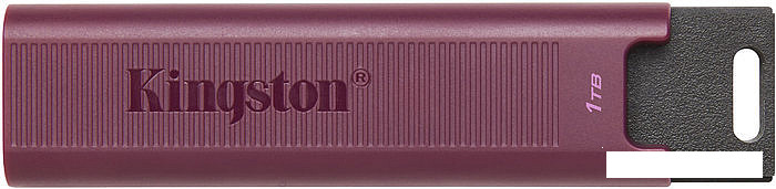 USB Flash Kingston DataTraveler Max Type-A 1TB - фото 1 - id-p190608669