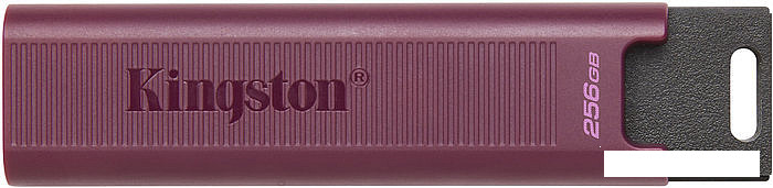 USB Flash Kingston DataTraveler Max Type-A 256GB