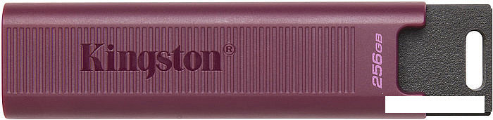 USB Flash Kingston DataTraveler Max Type-A 256GB, фото 2