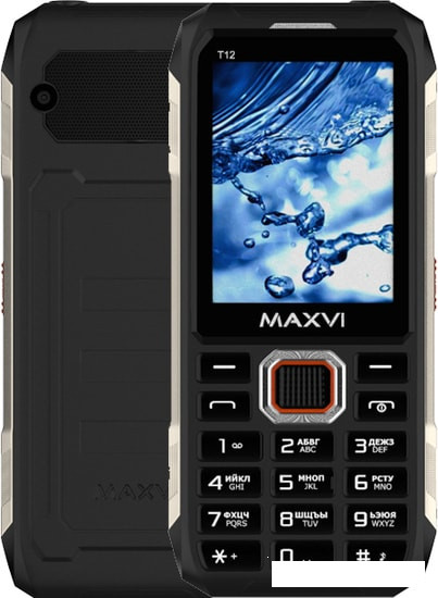 Кнопочный телефон Maxvi T12 (черный)