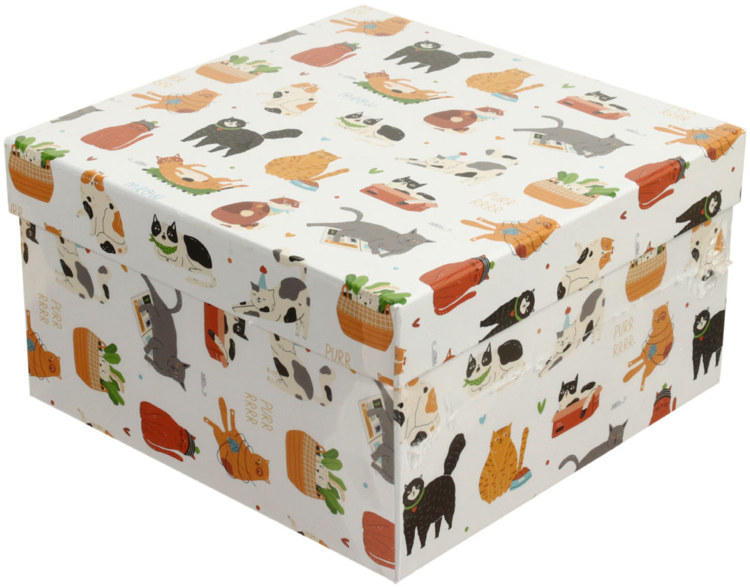 Набор квадратных коробок 3 в 1 Meshu World of Cats - фото 2 - id-p203780544