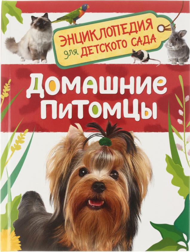 Энциклопедия «Росмэн» «Энциклопедия для детского сада» 165*220 мм, 24 л., «Домашние питомцы» - фото 4 - id-p203780561