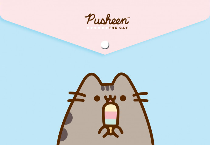 Папка для тетрадей на кнопке Pusheen 235*330 мм - фото 1 - id-p203780807