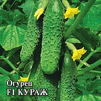 Огурец КУРАЖ  F1, 250 шт