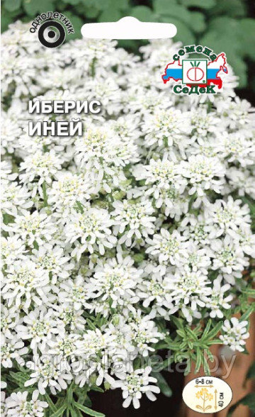 Иберис ИНЕЙ зонтичный, 0.5г: семена, семена овощных культур, семенами ...