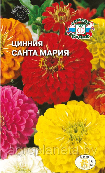 Цинния САНТА МАРИЯ, 0.5г - фото 1 - id-p203788173