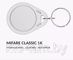 ПЛАСТИКОВЫЕ RFID-БРЕЛОКИ ИЗ ABS С ЧИПОМ MIFARE CLASSIC 1K 4 BYTE UID