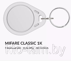 ПЛАСТИКОВЫЕ RFID-БРЕЛОКИ ИЗ ABS С ЧИПОМ MIFARE CLASSIC 1K 7 BYTE UID