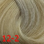 ДТ 12-2 стойкая крем-краска д./волос специальный блондин пепельный 60 мл