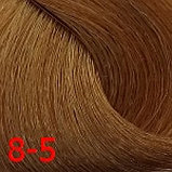 ДТ 8-5 стойкая крем-краска д./волос светлый русый золотистый 60 мл, фото 2