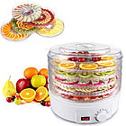 Сушилка для овощей и фруктов Digital Food Dehydrator SMX-01, фото 2